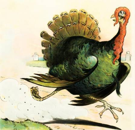 Turkey Trot set for Thursday in Vernon Turkey Trot set for Thursday in Vernon