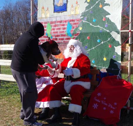 Vernon resident Dimitri Kniazev lowers his basset hound, Lilu onto the waiting laps of Santa and Mrs. Paws.