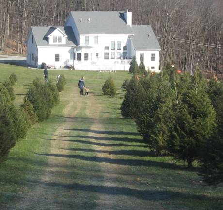 Christmas tree farm a family affair PHOTOS BY JANET REDYKE The view from the top of End-O-Lane Christmas Tree Farm shows lush trees and the beauty of the area.
