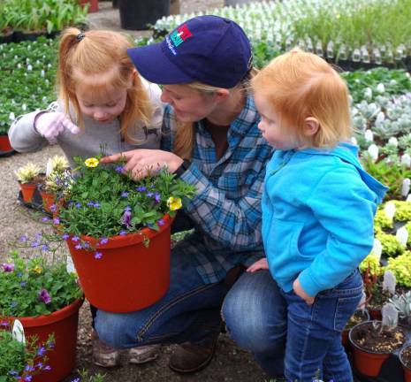 Next to John Kuperus&#xfe;&#xc4;&#xf4; Farmside Supplies is the Kuperus Farmside Gardens &amp; Florist where cousins Stella Kuperus, 3, Alyssa Amels, 16, and Penelope Kuperus, 2, are shown exploring the greenhouse.