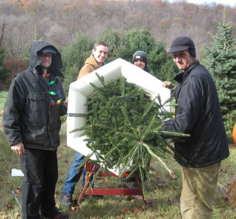 PHOTOS BY JANET REDYKE Farm helpers Craig Niebuhr, Hunter Walker, Jack Martis and Chris Hanke ready a Christmas tree for a customer at Stehli Christmas Tree Farm on Route 515.