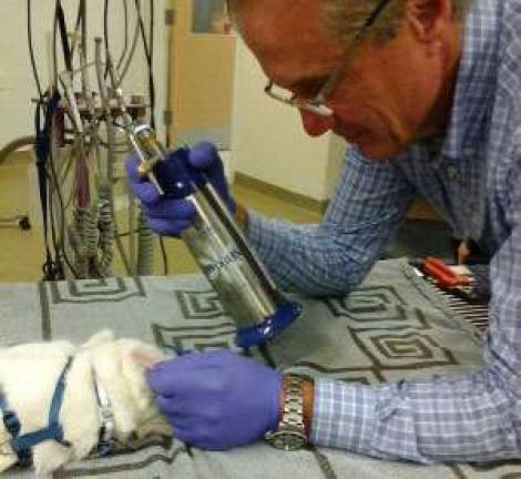Dr. Ted Spinks performs Cryosurgery which is pain free for animal patients