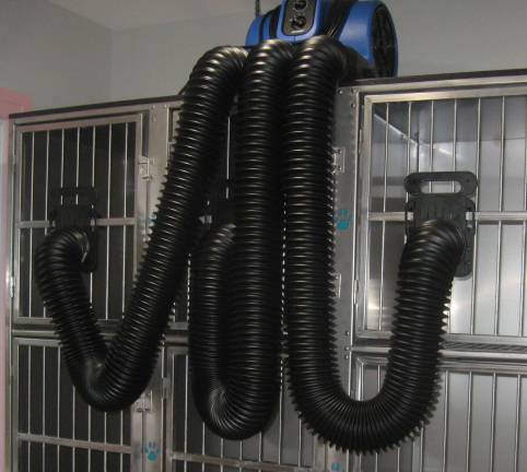 Kennel blowers are strange in appearance but a very clever apparatus to quickly dry a small dog.