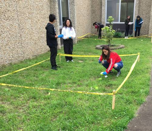 Vernon students conduct crime scene Vernon students conduct crime scene