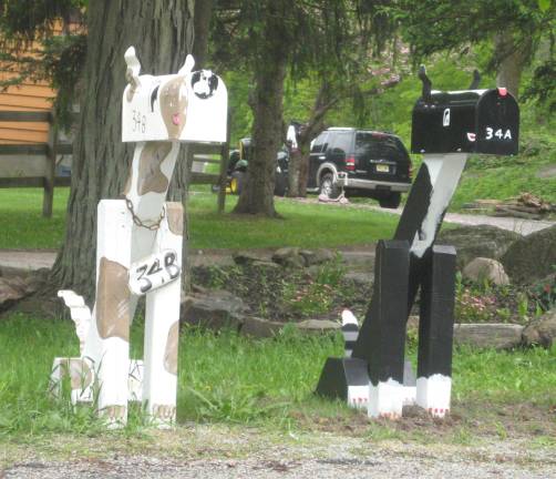 PHOTO BY JANET REDYKE This once photographed doggie mailbox now has a friend on Route 638 in Vernon.
