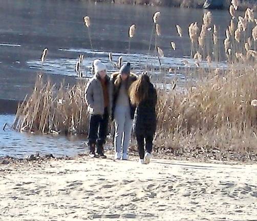 The lake's shore drew hikers and nature lovers.