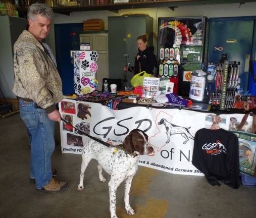 There was an assortment of pointers to be found in front of the table for the German Shorthair Pointer Rescue of New Jersey.