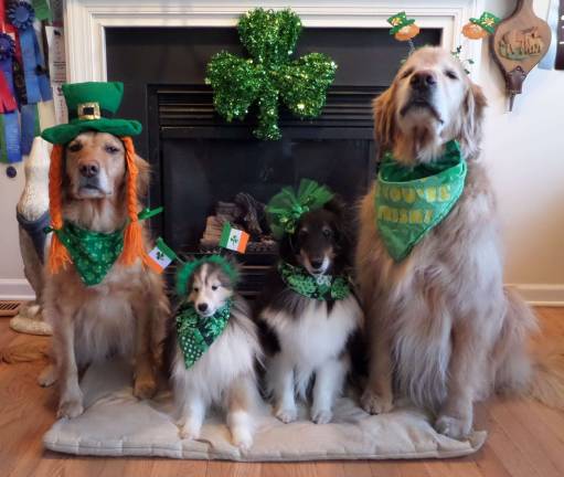 Pat Salvatoriello of Lafayette, N.J. &quot;Lady Corcoran, Finnegan, Lucey and Dempsey ready to party.&quot;