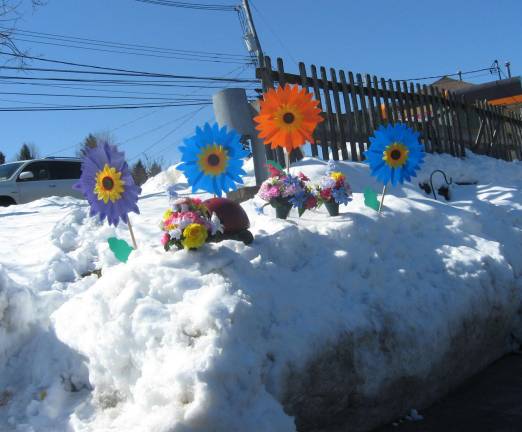 PHOTOS BY JANET REDYKE Highland Flowers in Vernon is anticipating spring as owner Lori Struck displays colorful signs of spring in the snow.
