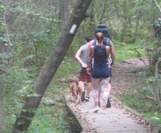 The trail was busy on the holiday weekend with human as well as canine hikers.