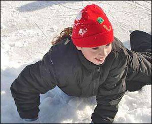 Winter reveler Winter reveler