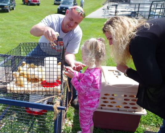 Dennis Sugar of Hopatcong&#xfe;&#xc4;&#xf4;s Sugar Sweet Farm brought a selection of adoptable ducklings and chicks.