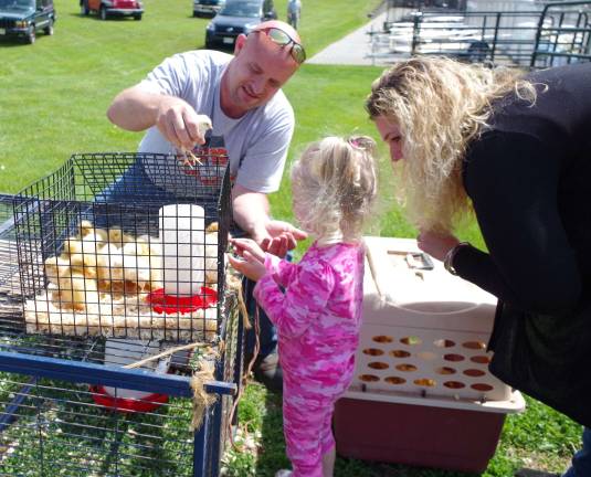 Tractor Supply celebrates 10 years Dennis Sugar of HopatcongþÄôs Sugar Sweet Farm brought a selection of adoptable ducklings and chicks.
