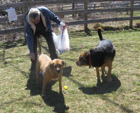 PHOTOS BY JANET REDYKEThe Vernon Dog Park held their Easter egg hunt on Saturday, March 31.