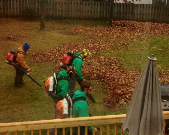 Leaf Busters Leaf Busters