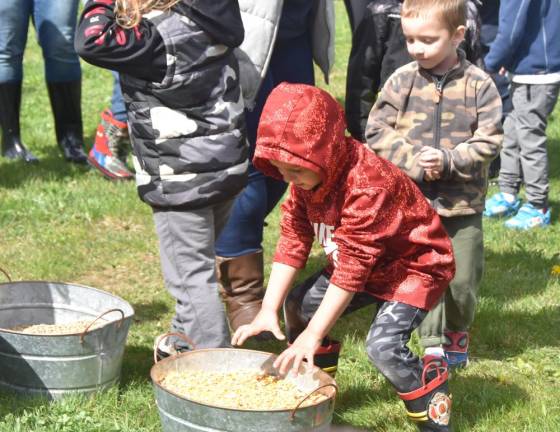 Mixing chicken feed from locally sourced corn, soybeans and oats.