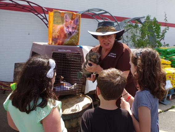 Tractor Supply celebrates 10 years Lori Day Space of Space Farms brought two baby foxes. The one she is holding is called þÄúBiancaþÄù because of her one white paw.