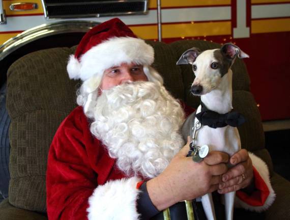 Four-year-old Italian Greyhound Woolfie poses with Santa in the Vernon Firehouse. This smart little pup belongs to Lila Zimmerman of the Highland Lakes section of Vernon.