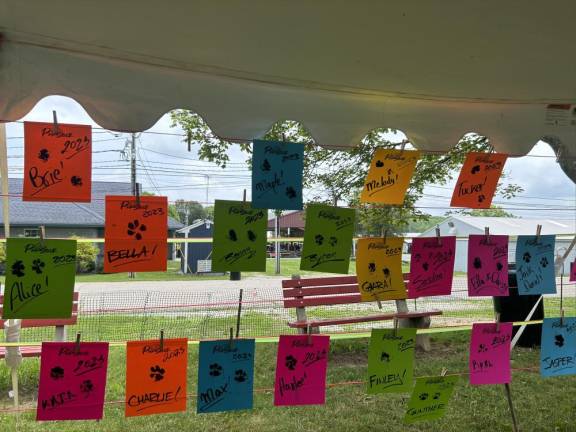 Dogs have their day Custom paw prints are hung in the Doggie Art Zone tent.