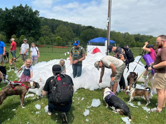 Dogs have their day Puppy foam parties were part of the fifth annual Pupstock Festival on Saturday, July 8 in Augusta. (Photos by Daniele Sciuto)