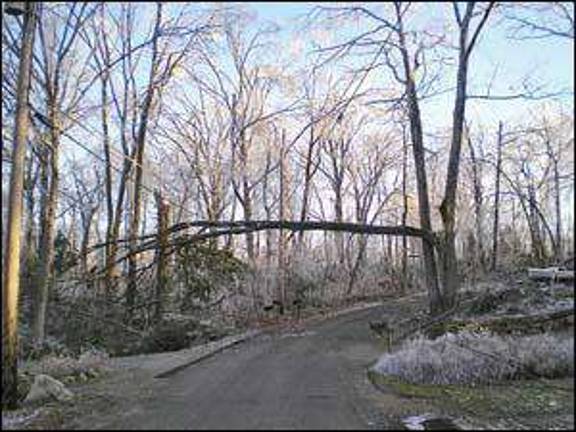 Survival and beauty scale great heights Survival and beauty scale great heights