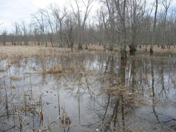 PHOTOS BY JANET REDYKE The flats on Vernon Crossing Road are starting to have that spring, swampy appearance.