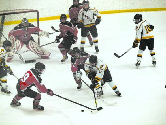 Wallkill Valley/High Point tops Jefferson in hockey High Point-Wallkill Valley defeated Jefferson Township in high school hockey on Saturday, Feb. 8.