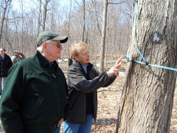 Lusscroft Farm host sugaring event John and Terry Healy of Highland Lakes check out the new taps and check valves on the trees.