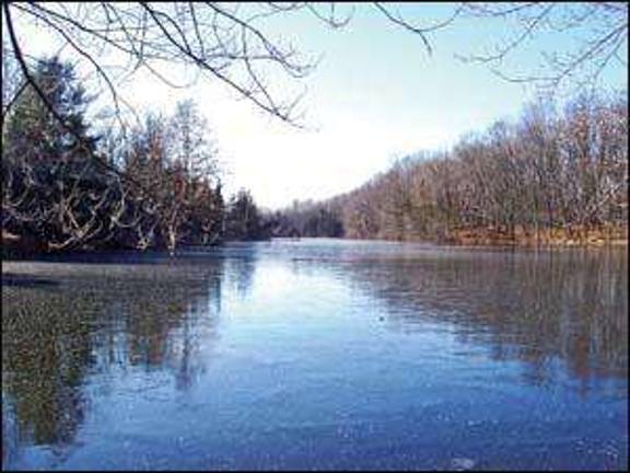 Conservancy buys 205 acres for green space Conservancy buys 205 acres for green space