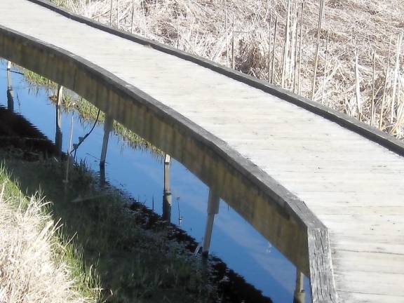 Vernal pools start to collect off the boardwalk.