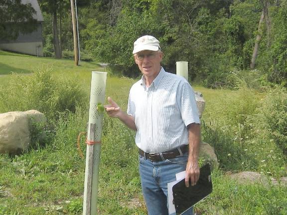 Tree farmer Elmer Platz poses with a hazelnut seedling growing in field one of his new tree farm, Wawayanda Tree Farm on Barrett Road (Photo by Janet Redyke)