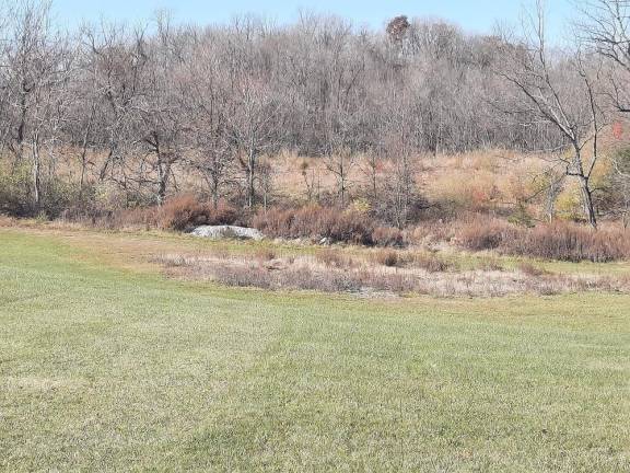 The site of the proposed lineman training program at Wallkill Valley Regional High School in Hardyston, where the outdoor portion of the course will be held (Photo by Laura J. Marchese)