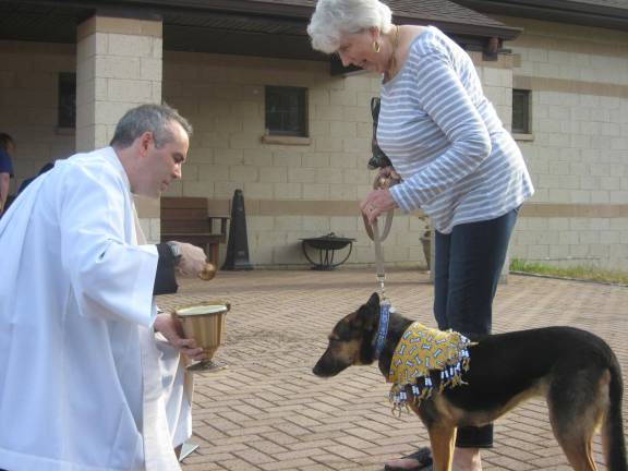 Lily and her owner receive a blessing with holy water.