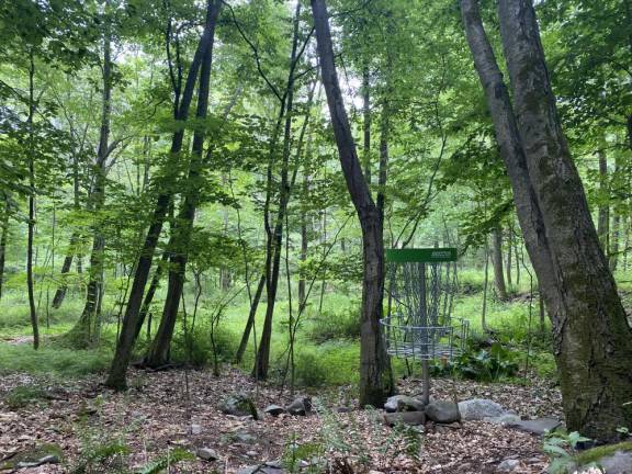 Some disc golf holes are in wooded areas.