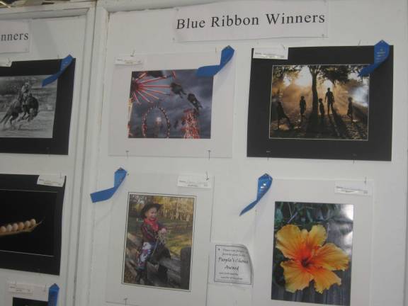 The photography competition boasts their blue ribbon winners.