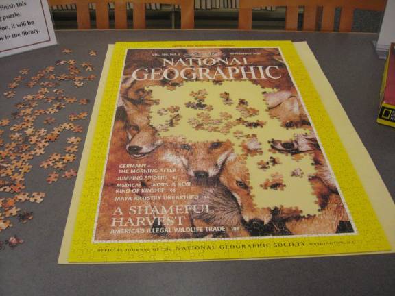 A 1,000 piece National Geographic jigsaw puzzle.