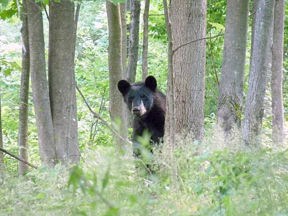 Pocono Environmental Education Center trails will re-open on Friday (Pocono Environmental Education Center Facebook page)