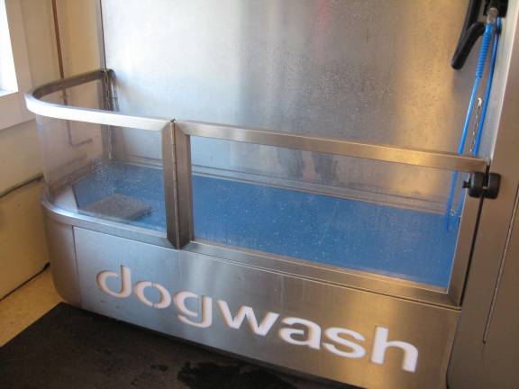 The iclean dogwash easily accommodates every dog.