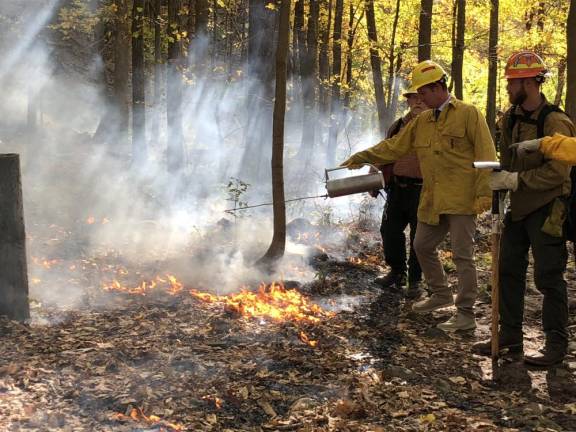Lighting a fire under science students High Point Regional High School Principal Jon Tallamy helps light a prescribed burn on a quarter-acre of forest behind the school. He is watched by members of the New Jersey Forest Fire Service. (Photo by Kathy Shwiff)
