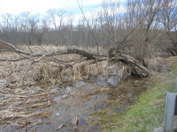 A tree, possibly winter storm damaged, gives the flats a marshy look.
