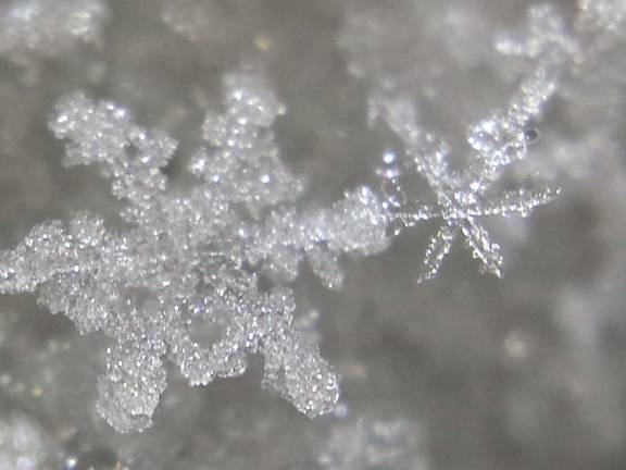 Photo by Gale Miko Snowflakes fall last week in Wantage.