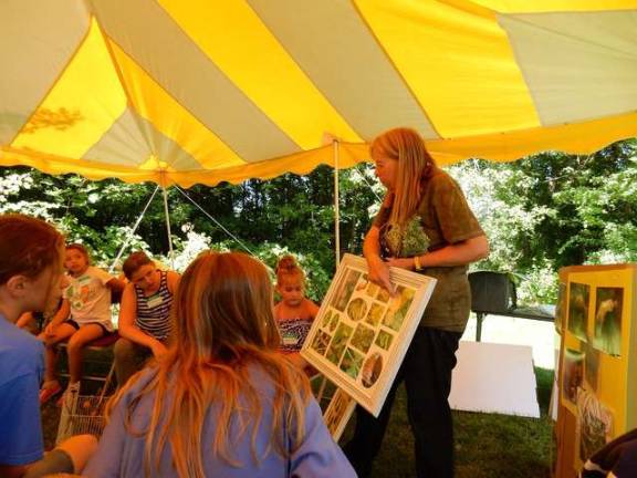 Photos courtesy Jessi Paladini At Hands-On History camp, photographer and author Arlene Springer treats the children to her photographs and displays of praying mantises and teaches the children about &#x201c;good farm bugs&#x201d; that protect crops.