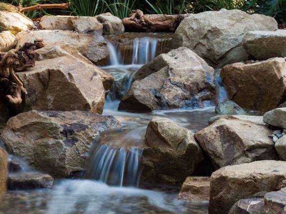 How much does a Koi Pond or Water Garden cost? How much does a Koi Pond or Water Garden cost?
