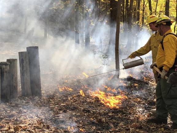 Lighting a fire under science students High Point Regional High School Principal Jon Tallamy helps light a prescribed burn on a quarter-acre of forest behind the school Thursday, Oct. 19. He is watched by a member of the New Jersey Forest Fire Service. (Photo by Kathy Shwiff)