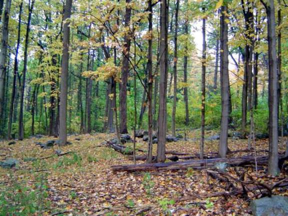 NJ Sierra Club concerned Highlands area is 'under attack' Photo courtesy of Diane Lowe Ogdensburg in the fall