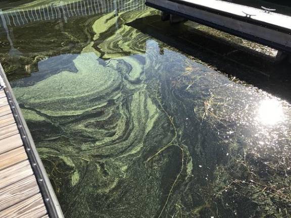 Fall is a busy time on Lake Hopatcong Harmful algal bloom on Lake Hopatcong
