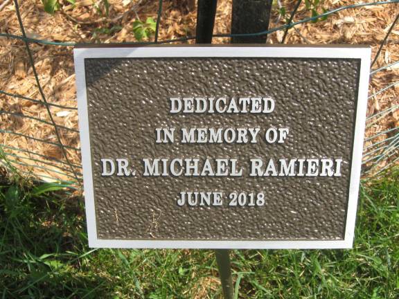 PHOTO BY JANET REDYKEA plaque dedicated to Dr. Michael Ramieri was set in place at the tree planted in the late doctor's honor at the Vernon Dog Park.