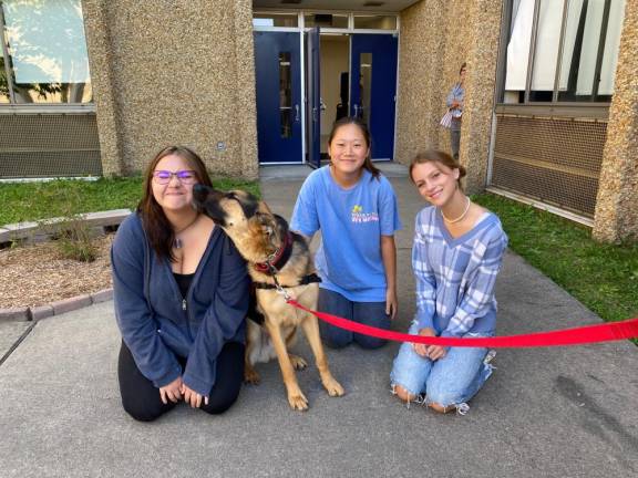 Vernon. Therapy dogs visit VTHS courtyard lunches Kalvin visits Vernon Township High School students.