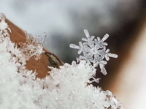 Winter bliss SNOWFLAKES