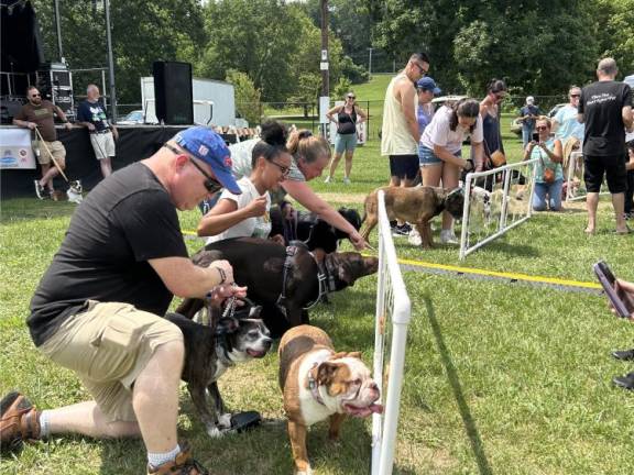 Dogs have their day Dogs licking in the peanut butter eating contest.